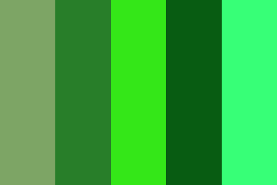 Với bảng màu Discord Greens, bạn sẽ được khám phá một loạt các gam màu tươi sáng, mang lại sự nổi bật cho bất kỳ nền tảng nào. Đảm bảo sẽ giúp cho thiết kế của bạn trở nên ấn tượng và tạo cảm hứng đối với những người sử dụng.