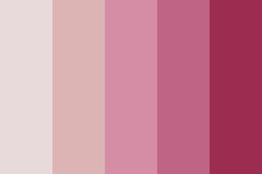 Raspberry Icecream Color Palette