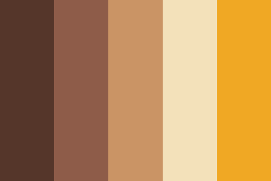 warm shades of brown color